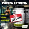 Antihuman Series Ultra Pure Creatine | Monohidrato de Creatina Creapure®