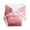 ImseVimse All-In-One Cloth Nappies (Rusty Pink Teddy, Small)