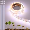 FOSUO 16.4FT/5M LED Plant Grow Light Strip 24V 120W 2100LEDs