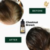 WiseStrand KKM Approved WiseStrand Natural Hair Dye Colour Shampoo |