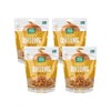 Fresh Gourmet Topping, Crispy Onion Garlic 3.5 Ounce (Pack of