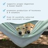 Dr. Mercola, Complete Probiotics, for Cats and Dogs, 3.17 oz