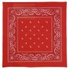 Paisley One Dozen Cowboy Bandanas