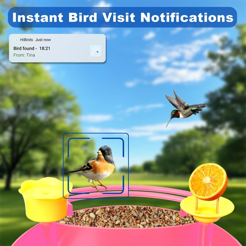 Bird Feeder with Camera - 4K HD Live View, Smart