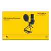 Delock USB Microphone PC Microphone Condenser Microphone Set - for