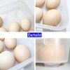 Jgalnim 3Pack Egg Trays,Deviled Egg Containers with Lid,Egg Container Carrier,Refrigerator