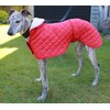 Cosipet Greyhound Anorak Nylon Coat, 51 cm, Red