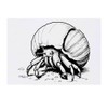 Large 'Hermit Crab Crawling On Beach' Temporary Tattoo (TO00071677)