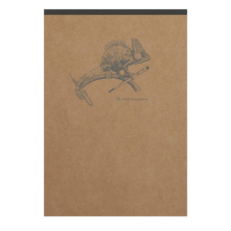 Clairefontaine Flying Spirit 103646C Pack of 5 Pads, Glued at