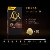 L'OR Favourites Assortment Nespresso Compatible Coffee Pods (Pack of 8,