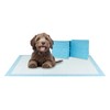BV Small Puppy Pads 50 Count 17"x24" - Leak-Proof &