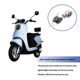 Ragyzity Electric Bike Battery Box Safety Lock, Battery Cylinder Lock Ignition Switch Anti-Theft Safety Lock, Portable Outdoor Cycling Electrombile Battery Box Lock with 2 Keys (1pc)