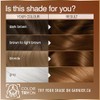 Garnier Garnier GOOD Permanent Hair Dye, 100% Grey Coverage, Ammonia-Free,