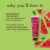 Burt’s Bees Hand Cream for Very Dry Hands, Watermelon &