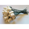 Seddex 24 Beautiful Realistic Ivory White Wooden Roses (Standard Version)