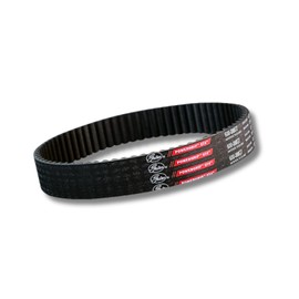 Surron Drive Belt – Gates GT4 560-8MGT-16 Power Grip Primary Belt | Compatible with Sur Ron Light Bee, Segway X260/X160, Talaria XXX | 16mm Width, High Torque Transfer, Long-Lasting Upgrade