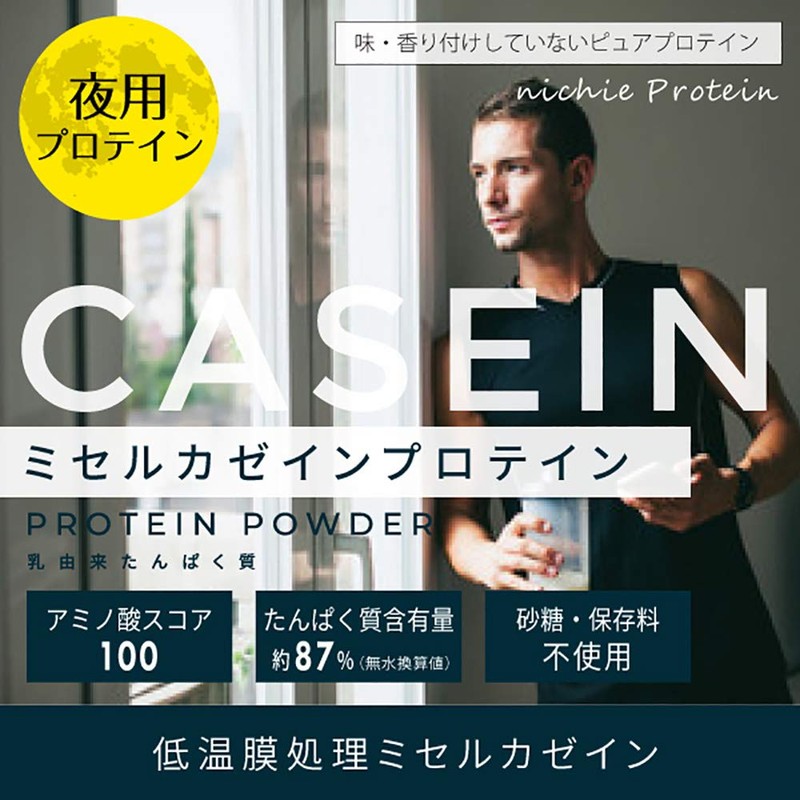 nichie ミセルカゼインプロテイン 無添加 フランス産 プレーン味 100g