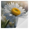 HEKU 100 napkins, 3-ply, 33 x 33 cm, daisies, absorbent
