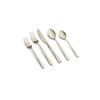 Cambridge Ayden Champagne Mirror Piece Flatware Set, 20 Count, Metallic