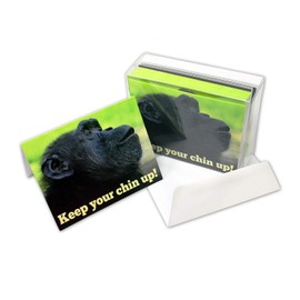 Small World Greetings Keep Your Chin Up Encouragement Cards 24 Count - Blank Inside with White Envelopes - A2 Size 5.5" x 4.25" - Get Well, Inspiration, Thinking of You