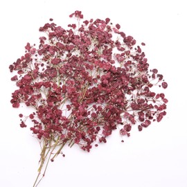 LYFORTZY Dark Red 70 Pcs Dried Babys Breath Pressed Flowers Bulk.Vacuum-Packed Mini Dried Babies Breath Flowe Specimen +2 Tweezers, for Resin Art /DIY Making Wedding Card/ Home Party Decor.