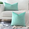 Artscope Velvet Cushion Cover Decorative Cushion Sofa Cushion Lumbar Cushion