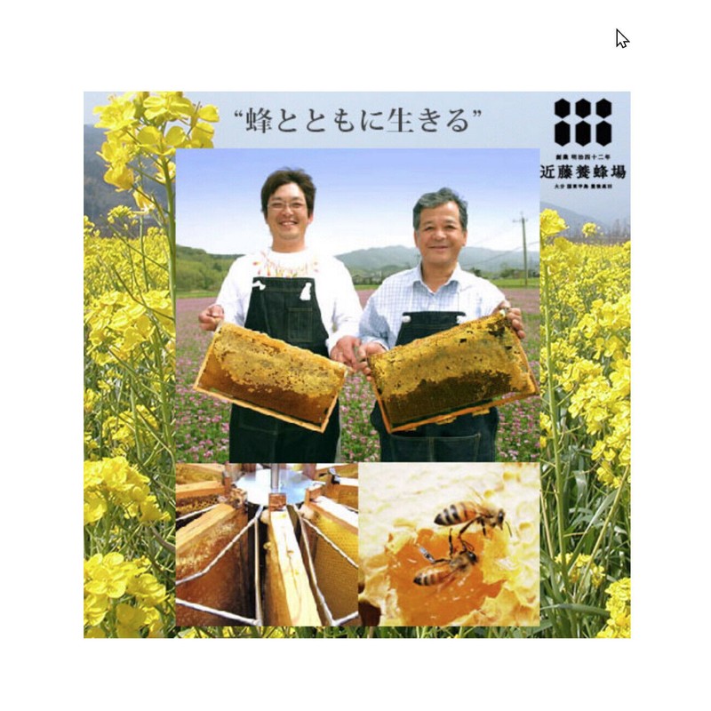 Bakubuy.com Kondo Apiary Yuzu Cha Japanese Citron Honey Tea 近藤