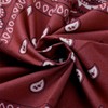 HEVIBK Bandana for Men and Women, Nicki Scarves, Headscarf, Neckerchief,