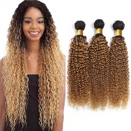 1B27 Ombre Curly Human Hair Bundles Two Tone Black To Blonde Bundles Human Hair 18 20 22 Inch 1B27 Kinky Curly Bundles Hair Extensions