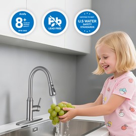 Arofa Kitchen Faucet with Pull Down Sprayer, Brushed Nickel Kitchen Sink Faucet 1-3 Hole Single Handle High Arc Stainless Steel Commercial Modern Kitchen Faucets for RV/Laundry/Outdoor/Farmhouse Sink