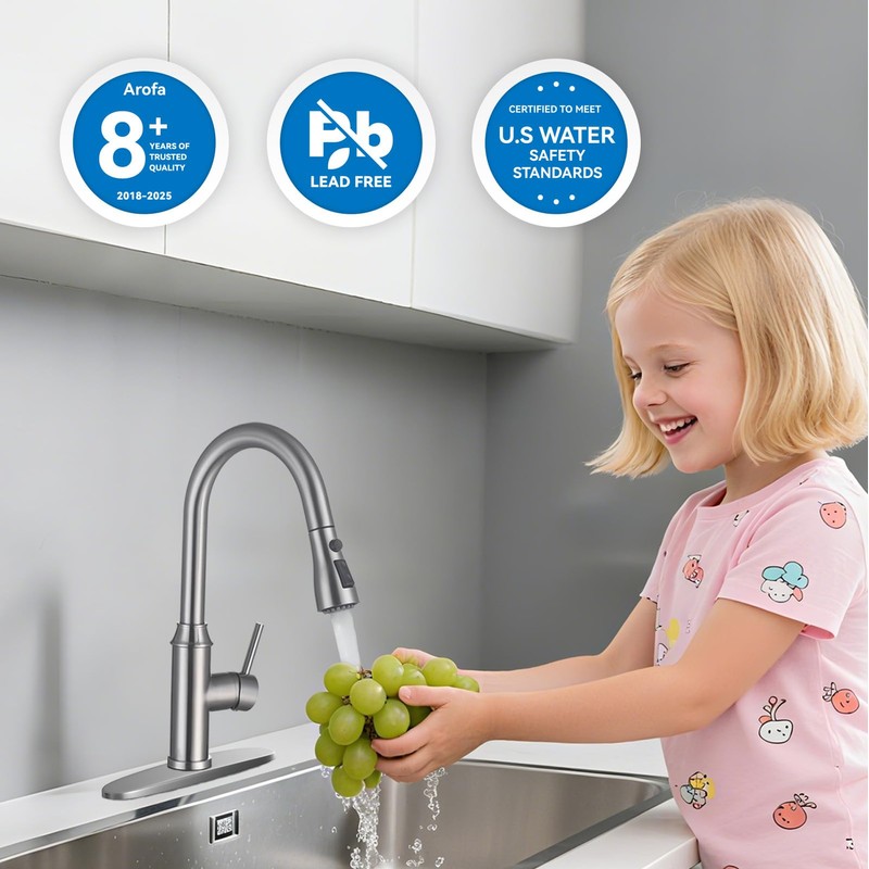 Arofa Kitchen Faucet with Pull Down Sprayer, Brushed Nickel Kitchen