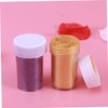 LALAFINA DIY Beauty Kit 10 Pcs Mica Powder Glitter Mica