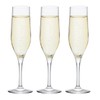 Stem Collection Champagne L-6660