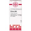 DHU Silicea LM VI Dilution, 10 ml Solution