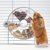 VCEPJH Rat Foraging Toy Interactive Slow Feeder with Transparent Rotating