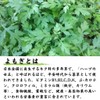 高山茶園 よもぎ茶 70g 国産 無添加 無農薬 茶葉 リーフ ノンカフェイン 艾葉