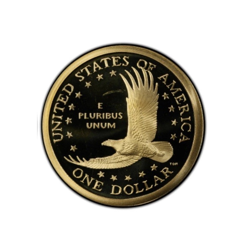 2007-S Sacagawea Dollar - Gem Proof DCAM X-569