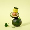 Frudia 고보습 립케어 립밤맛집 후르디아 2종 골라담기 Frudia High-Moisture Lip