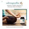 🌿🧠 Youtheory Ashwagandha KSM-66 | 150 Cápsulas, Apoyo Natural Anti-Estrés