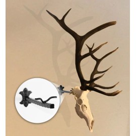 The "Bull Bracket" European Elk Skull Hanger, Euro, Taxidermy Euro Mount Hooker