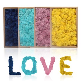 Preserved Moss Dried Reindeer Moss, 1.76 lb Multicolored Moss for Crafts Floral Moss for DIY Arts Wall Home Office Terrariums Wedding Centerpieces Decoration (Mixed Color 2)