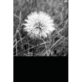  VIVIR CON FIBROMIALGIA (Spanish Edition)