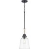 Rushton Collection 1-Light Graphite Clear Glass Industrial Hanging Pendant Light