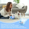 Pet Soft Dog Diapers Female, Disposable Dog Diapers, Cat Diapers