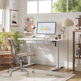 Agilestic Standing Desk with 2 Drawers, Adjustable Height Electric Desk with Storage, 48 x 24 Inches Sit Stand Up Computer Table for Work Office Home, White