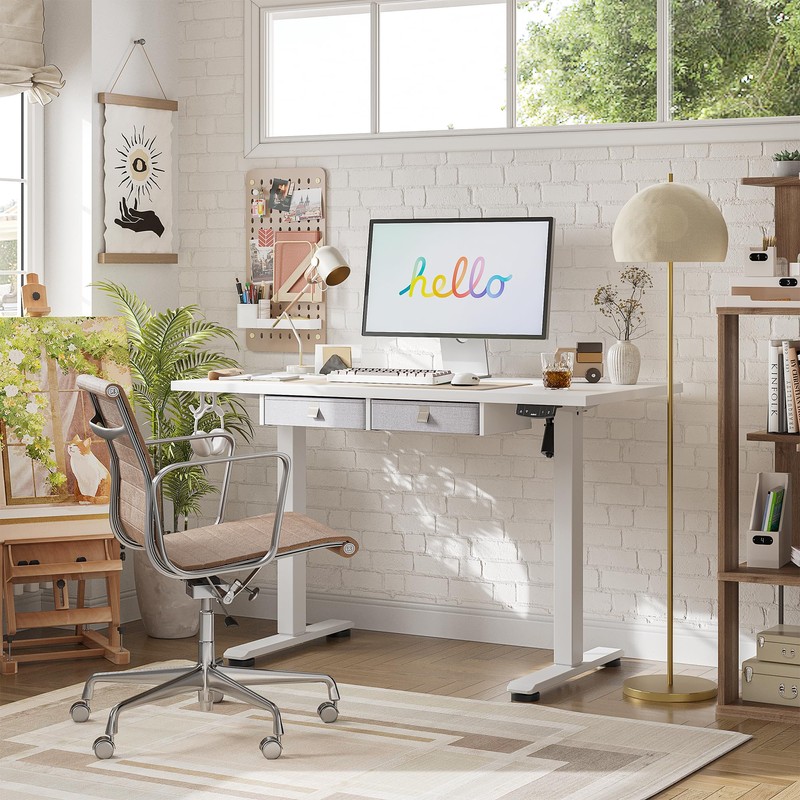 Agilestic Standing Desk with 2 Drawers, Adjustable Height Electric Desk