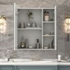 Mepplzian LED Bathroom Cabinet Mirror Smart Wall Defogging Vanity Storage