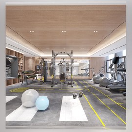 yarnuwa 56X16 2Pack Large Home Gym Mirror, Frameless Tempered Glass Dance Wall Mounted Mirror for Home, Yoga, Dancing, Studio, Living Room