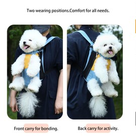 Lightweight Pet Backpack Carrier for Small Dogs & Cats - Easy-Fit Adjustable Straps, Basic Legs-Out Design, Durable for Daily Use (Fits Pets Under 15lb) (Yellow-Blue Color-Blocked, Medium)