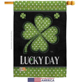Breeze Decor St Patrick Lucky Day Clover Garden House Flags Kit Spring Shamrock Leprechaun Coin Holiday March Irish Small Decorative Gift Yard Banner Made in USA 28 X 40
